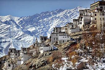 Amazing Ladakh tour